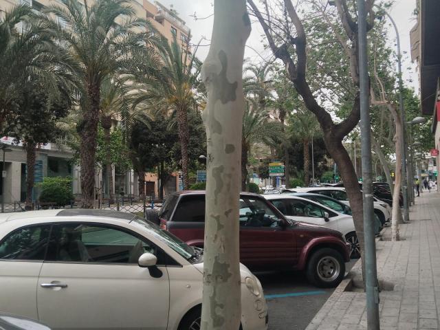 LOCAL COMERCIAL EN OSCAR ESPLA