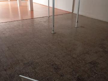 Local Comercial en Renta – Saltillo