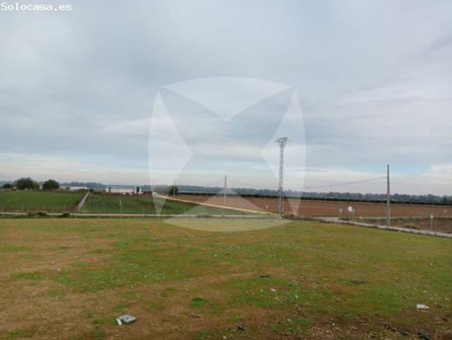 LOCAL COMERCIAL EN TALAVERA LA REAL