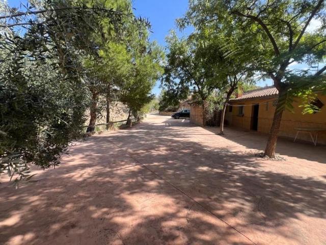 Local comercial en venta Abanilla