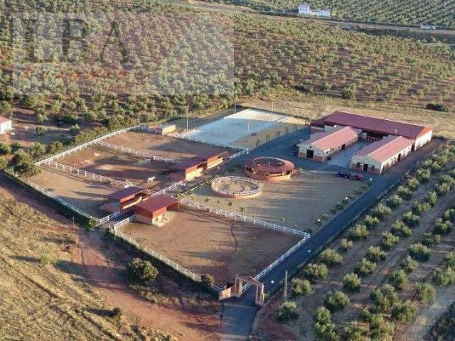Local comercial en venta Bailén