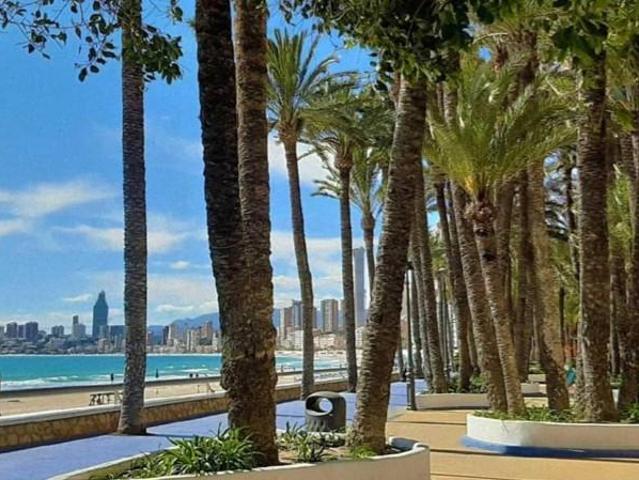 Local comercial en venta Benidorm