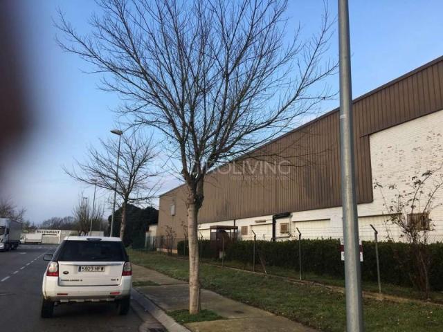 Local comercial en venta Girona