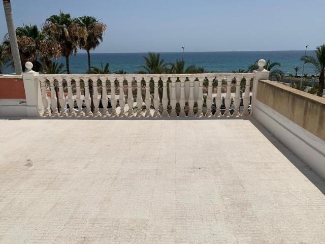Local comercial en venta en Arenales del sol, Zona paseo maritimo
