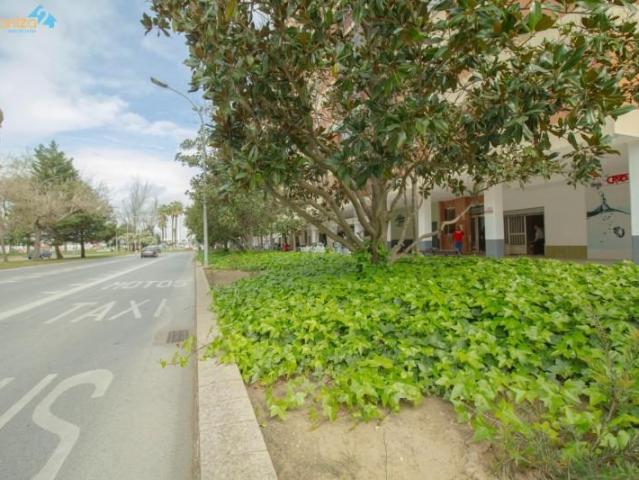 Local comercial en venta en Badajoz, Valdepasillas
