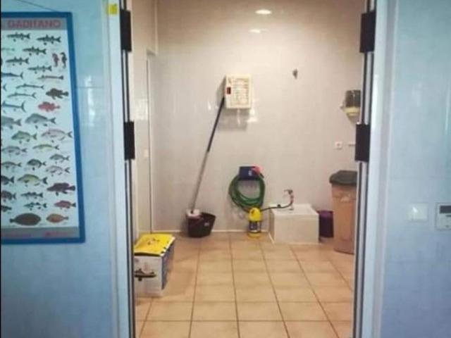 Local comercial en venta en El Puerto de Santa María, EL MOLINO