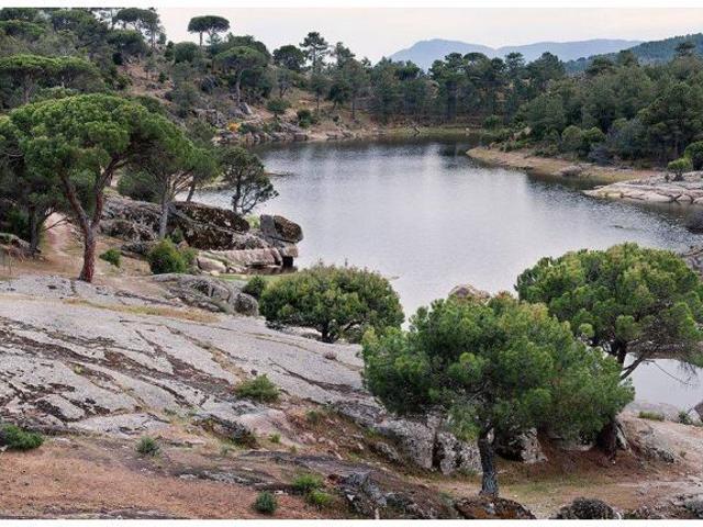 Local comercial en Venta en Hoyo de Pinares, El, Ávila