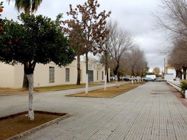 Local comercial en venta en Lora del Río, POLIG LAS VIÑAS, CALLE ALFA