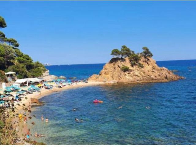 Local comercial en Venta en Sant Antoni de Calonge, Girona