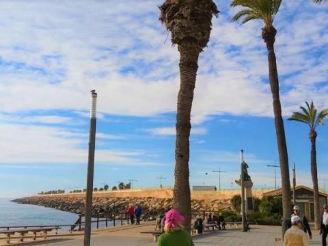 Local comercial en venta en Torrevieja, Paseo maritimo