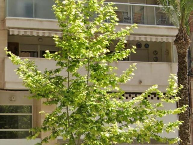 Local Comercial en Venta – Excelente Oportunidad en Zona Consolidada de Villena