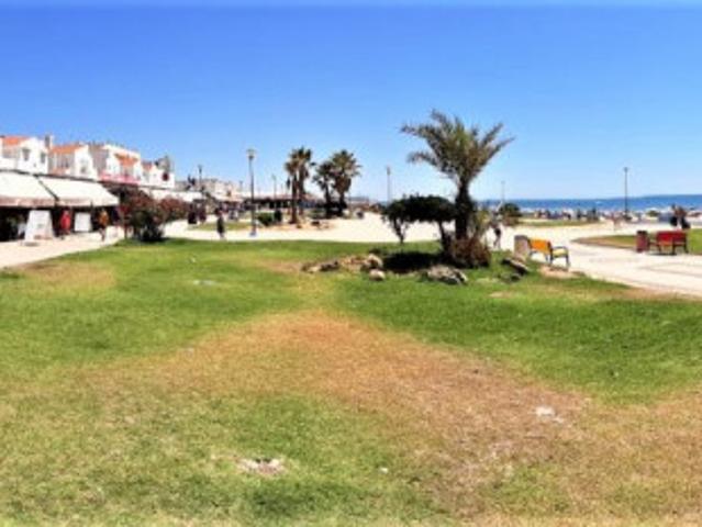 Local comercial en venta Matalascañas