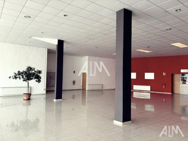 Local comercial en venta Manzanares