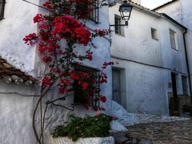 Local comercial en venta Ubrique