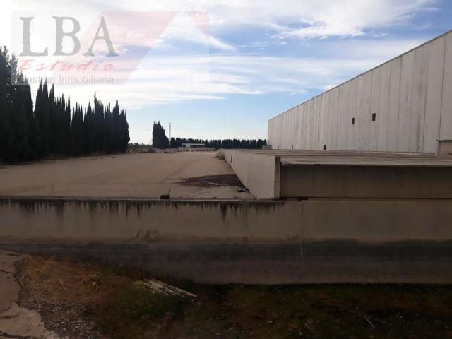 Local comercial en venta Villanueva de la Reina
