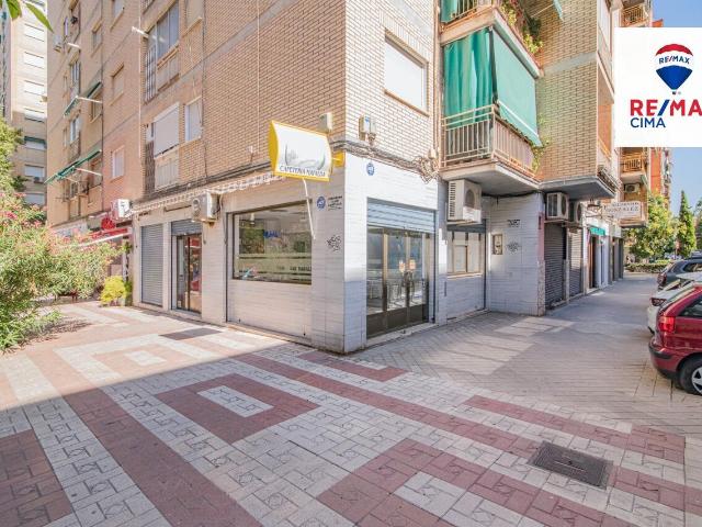 Local Comercial en venta, Zaidín, Granada