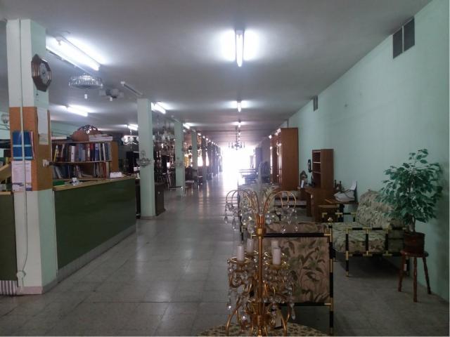 Local Comercial Flores Del Sil