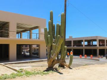 Local comercial planta alta, en venta, Corredor Turístico, Cabo San Lucas