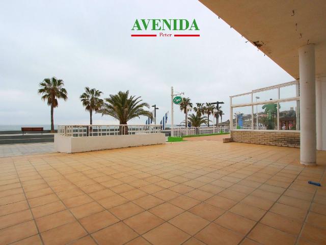Local Comercial Venta Castellón