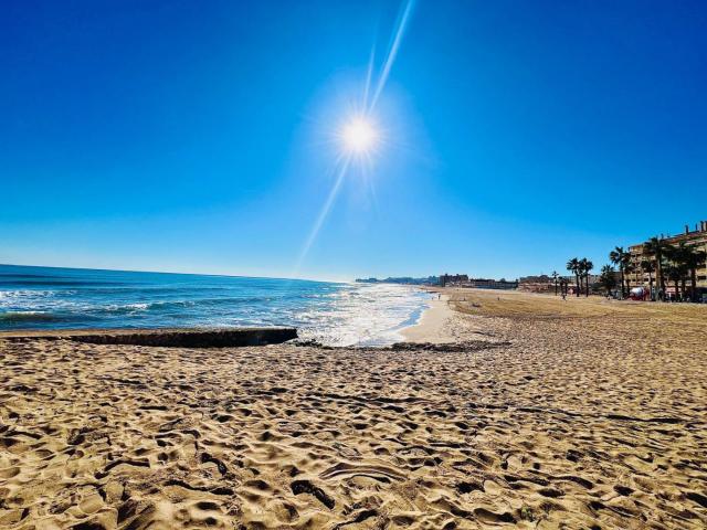 Local Comercial Venta Alicante