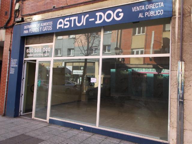 Local Comercial Venta Asturias