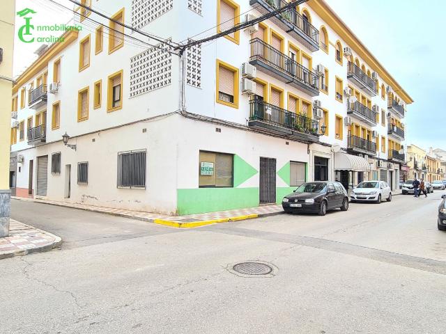 Local Comercial Venta Jaén