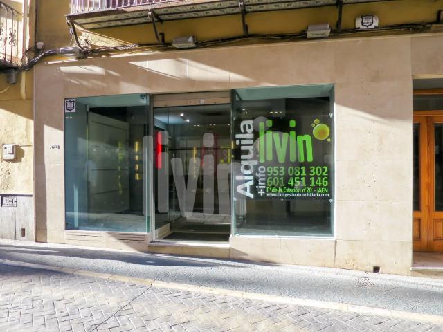 Local Comercial Venta Jaén