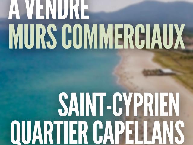 LOCAL COMMERCIAL AVEC APPARTEMENT SAINT CYPRIEN PLAGE