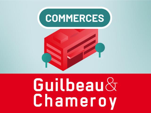 LOCAL COMMERCIAL A VENDRE ANGERS