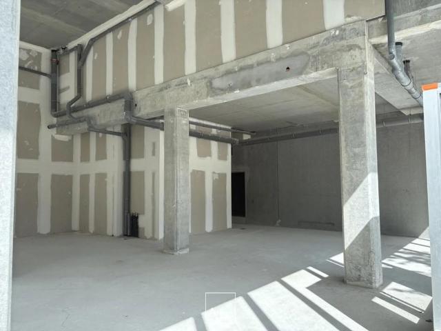 LOCAL COMMERCIAL BD DE STRASBOURG