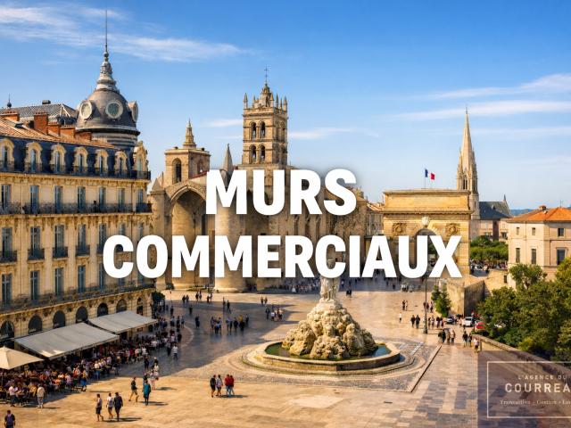 Local commercial de 185m2 rare en Ecusson de Montpellier