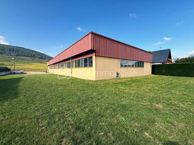 Local commercial de 610 m² à Bergholtz 23,54ares terrain constructible