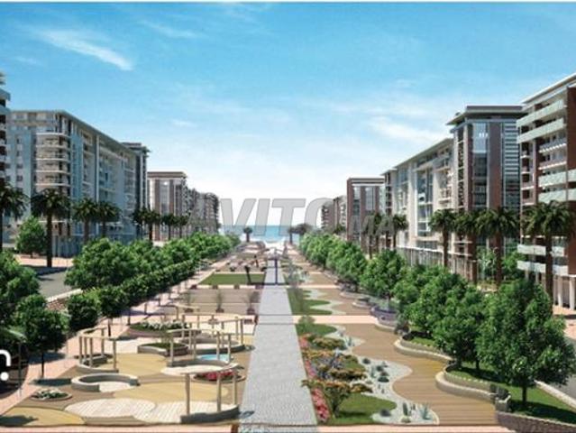 Local commercial islane agadir