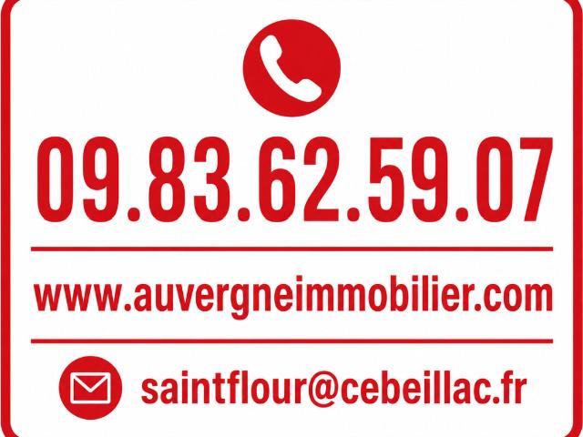 Local commercial Saint Flour 4 pièce s 738 m2