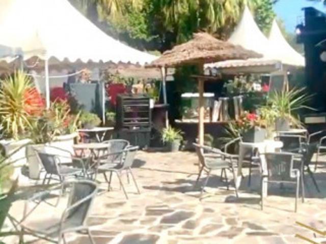 Local commercial 13015
