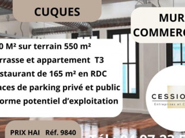 Local Commercial 310