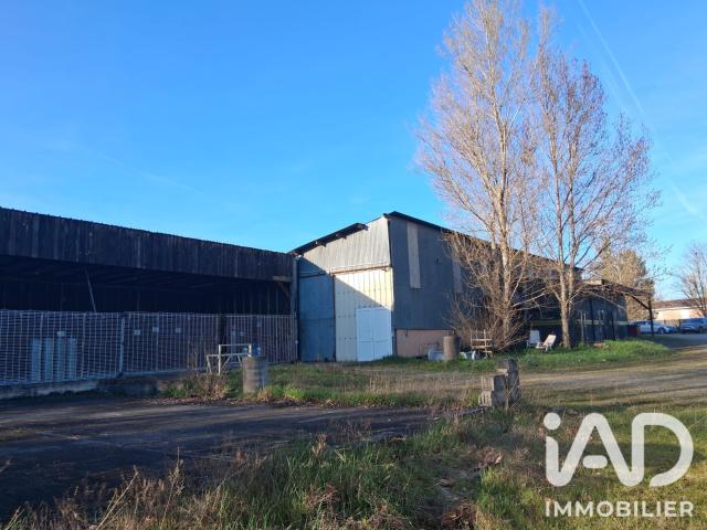Local commercial 1 431 m²
