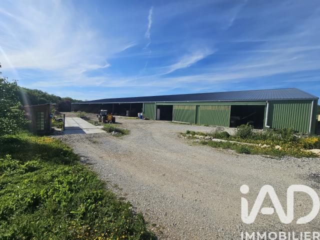 Local commercial 1 600 m²