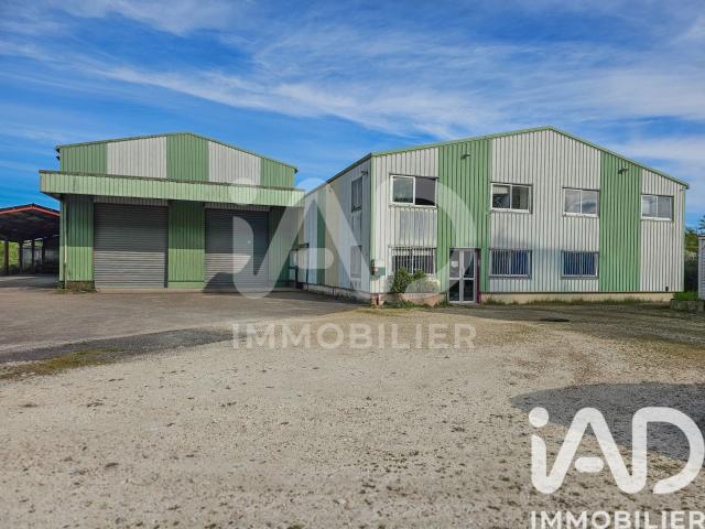 Local commercial 2 500 m²
