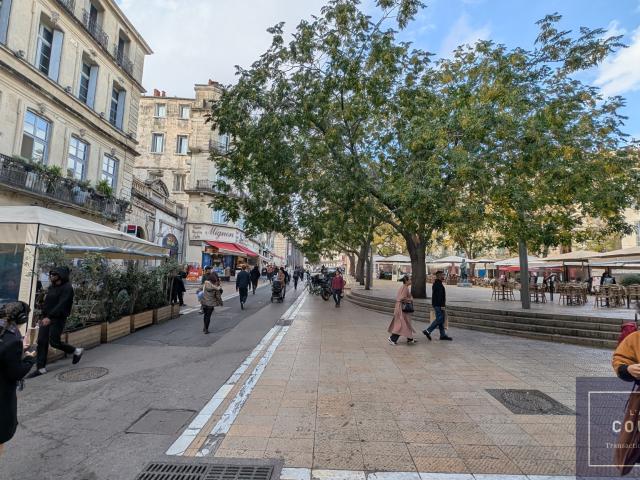 Local commercial 33 m2 Centre historique de Montpellier Investissement locatif