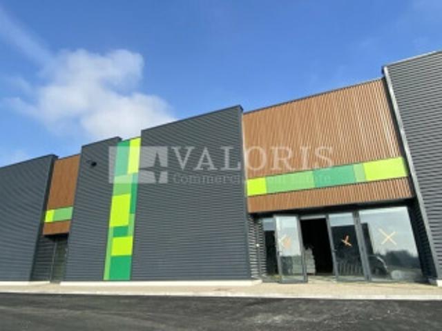 Local Commercial 2950