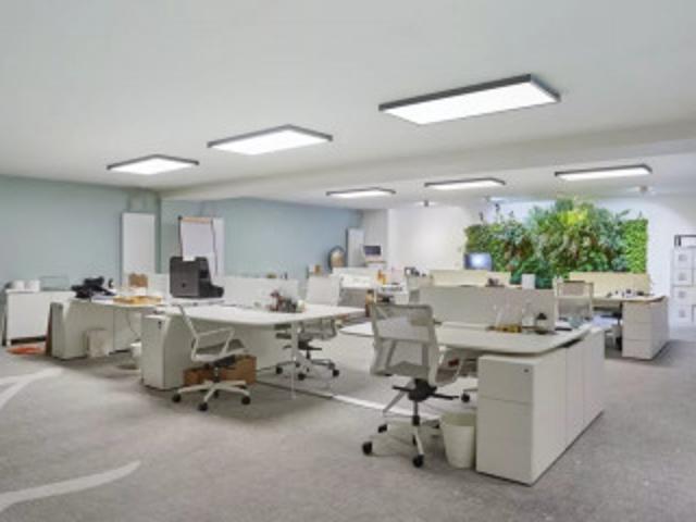Local Commercial 1138