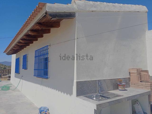 Local, Coin