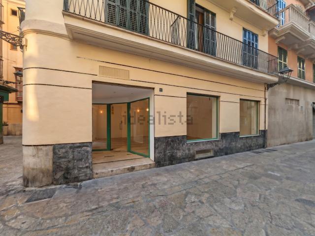 Local, Cort, Palma de Mallorca