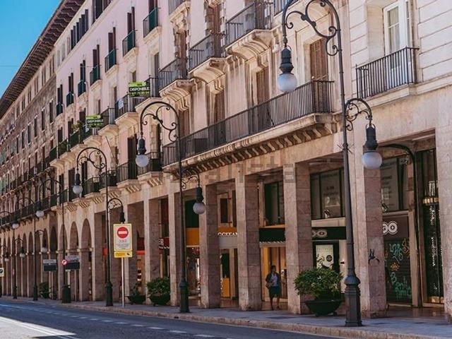 Local, Cort, Palma de Mallorca