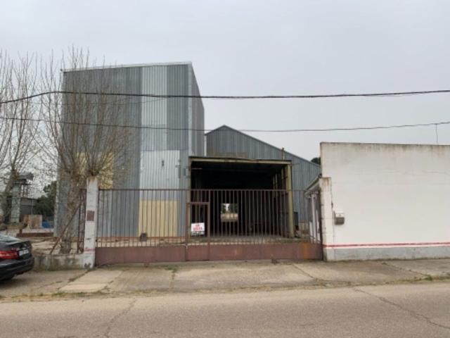 Local, Coreses