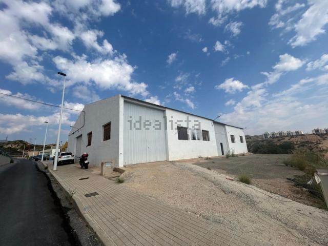 Local, Crevillente