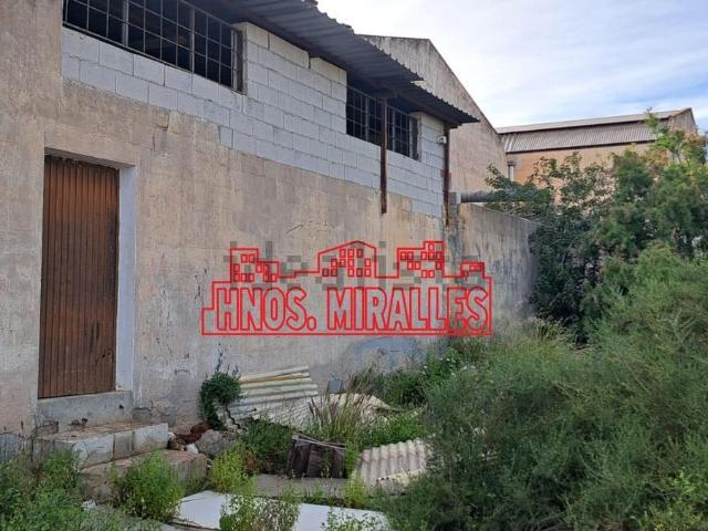 Local, Crevillente