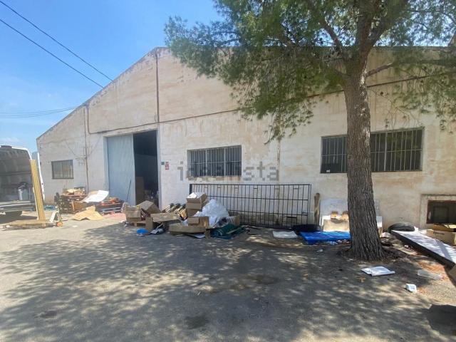 Local, Crevillente