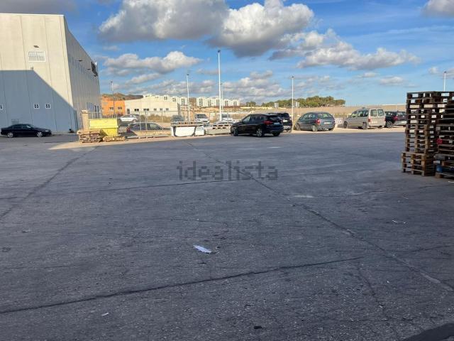Local, Crevillente